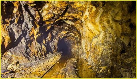 Unveiling Paul Cuffaro's Net Worth: Discoveries And Insights